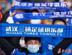 2024年武汉三个优势转化